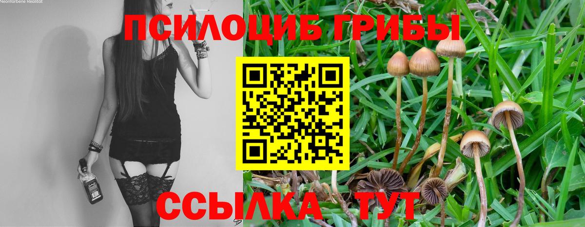 Дюртюли  Галлюциногенные грибы MAGIC MUSHROOMS  Вход с VPN  Галлюциногенные грибы MAGIC MUSHROOMS 