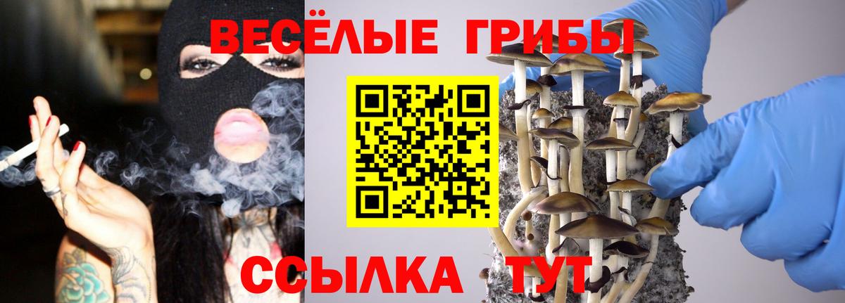 Псилоцибиновые грибы ЛСД Дюртюли